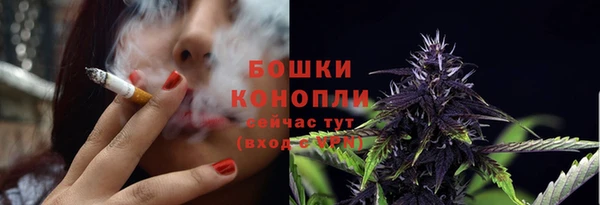 тгк Мегион