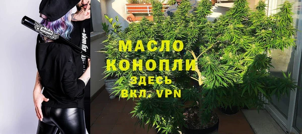дмт Медногорск