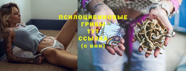 дмт Медногорск